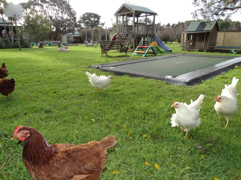 Ripples N Tonic Farmstay Ventnor Экстерьер фото